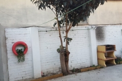 20180118_172801-e1526978134587