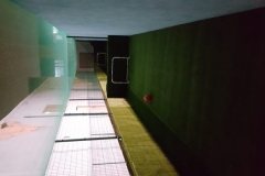 20170202_192654-e1526979616538