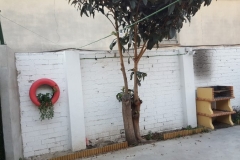 20180118_172757-e1526977243315